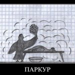 Пар Кур Сауны Одессы: Пар Кур
